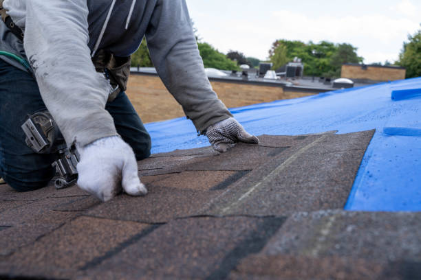 Best Rubber Roofing (EPDM, TPO)  in Paul, ID